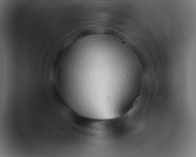 X0000089360178200706291048