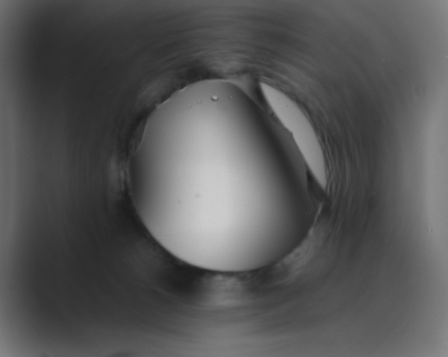 X0000089360180200706291049