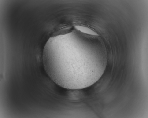 X0000089360181200706291049