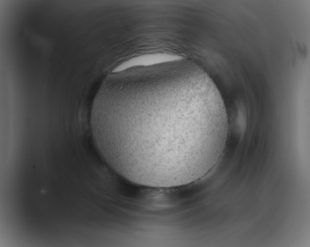 X0000089360182200706291049