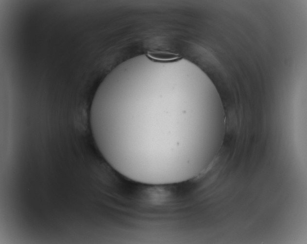 X0000089360183200706291049