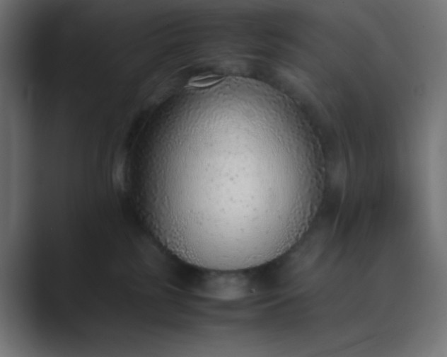 X0000089360185200706291049