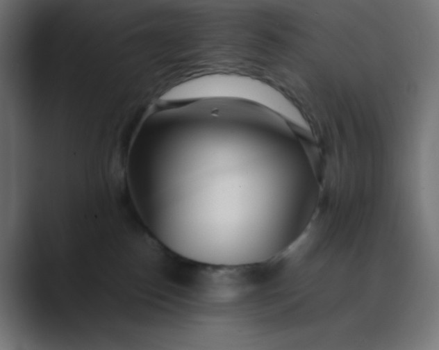 X0000089360186200706291049