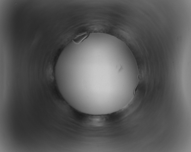 X0000089360187200706291049