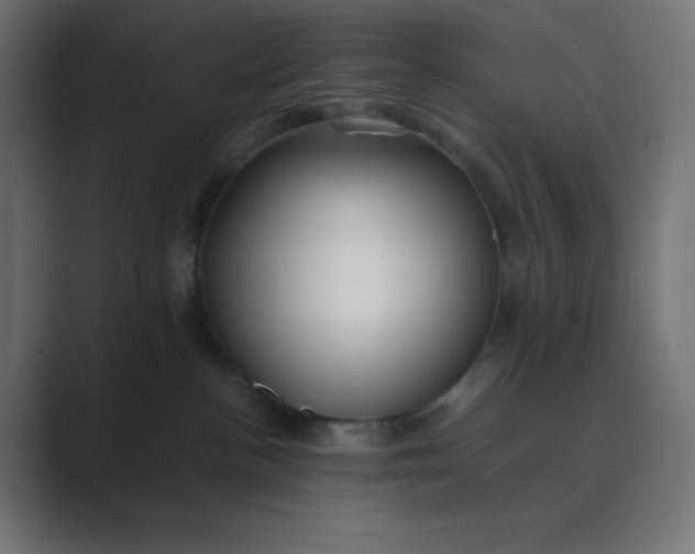 X0000089360188200706291049