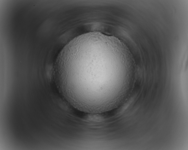 X0000089360189200706291049