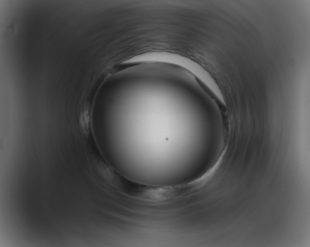 X0000089360190200706291049