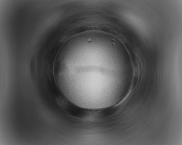 X0000089360191200706291049