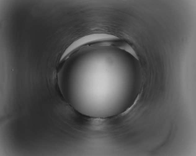 X0000089360192200706291049