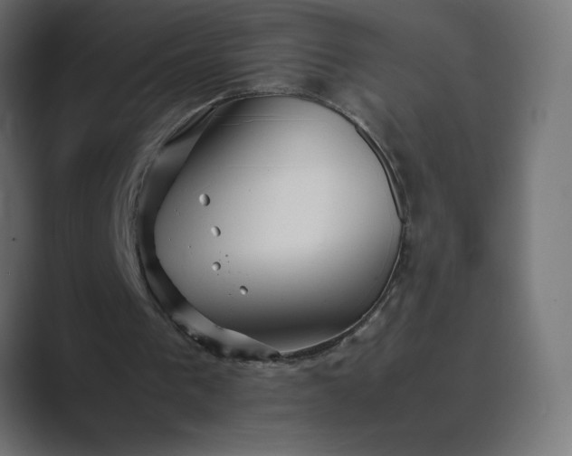 X0000089360193200706291048