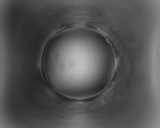 X0000089360195200706291048