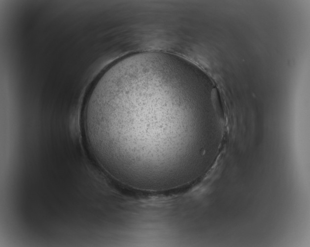 X0000089360196200706291048