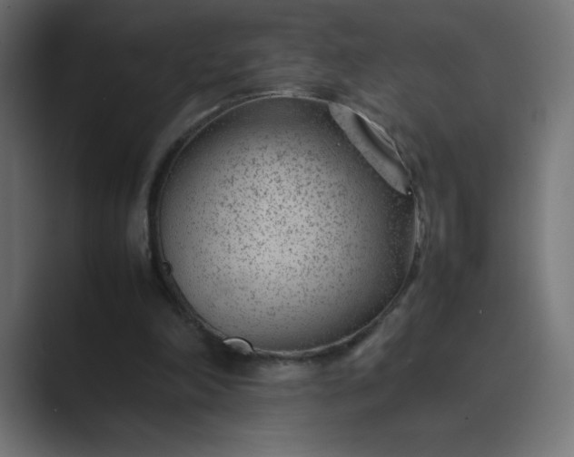 X0000089360198200706291048