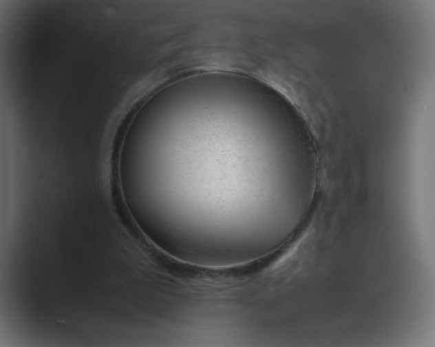 X0000089360199200706291048