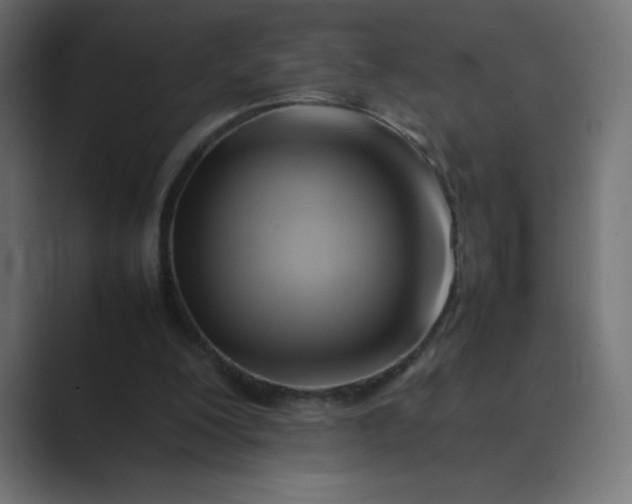 X0000089360200200706291048