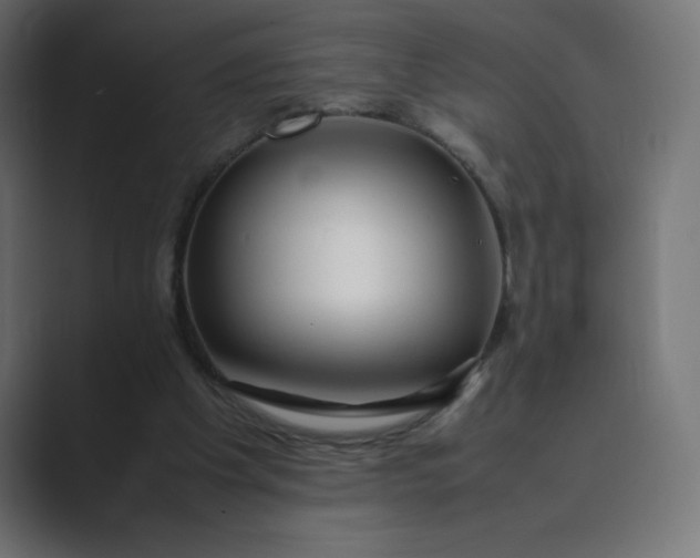 X0000089360201200706291048