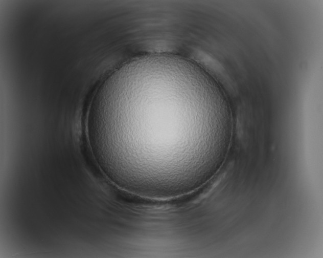 X0000089360202200706291048