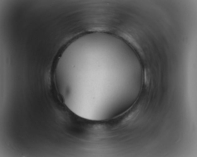 X0000089360204200706291048