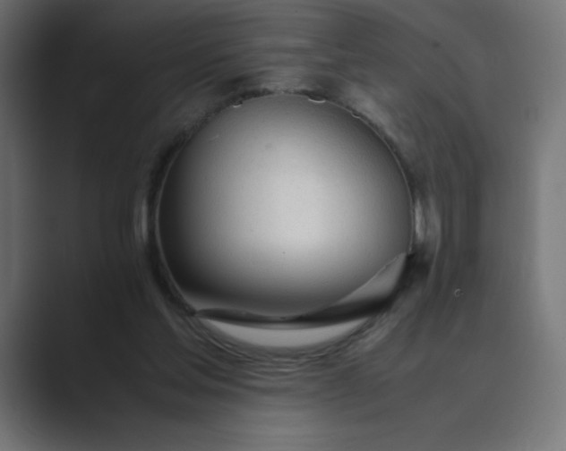 X0000089360205200706291048