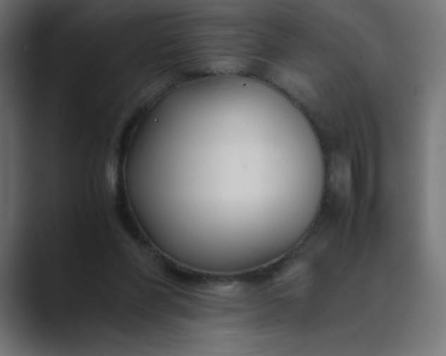 X0000089360206200706291048