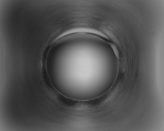 X0000089360207200706291048