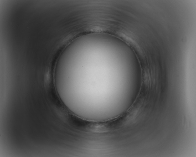 X0000089360208200706291048