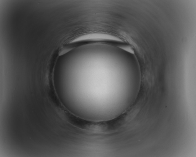 X0000089360209200706291048