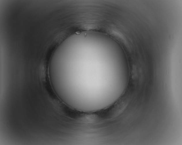 X0000089360210200706291048