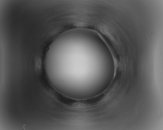 X0000089360211200706291048