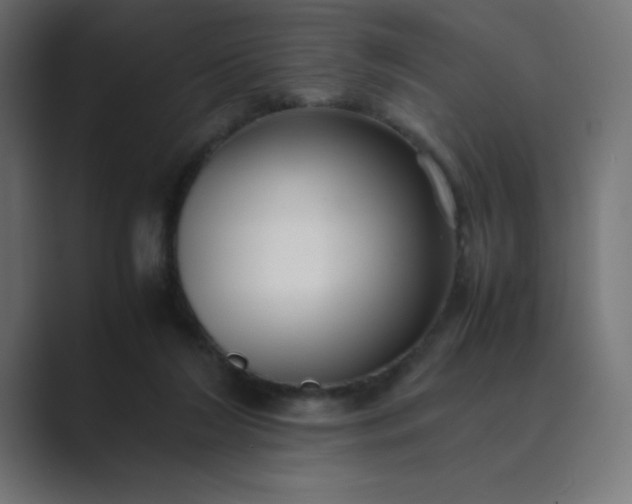 X0000089360212200706291048