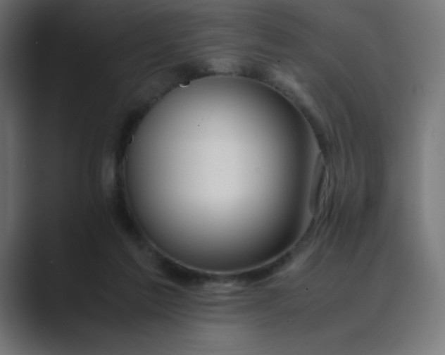 X0000089360213200706291048