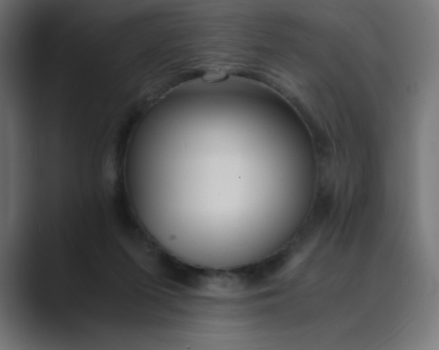 X0000089360215200706291048