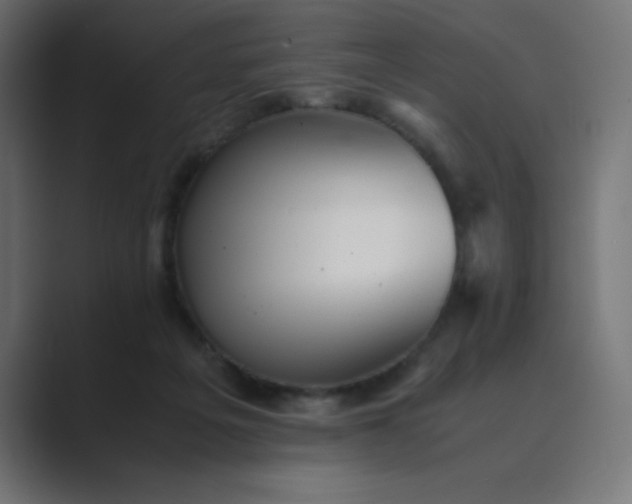 X0000089360217200706291048