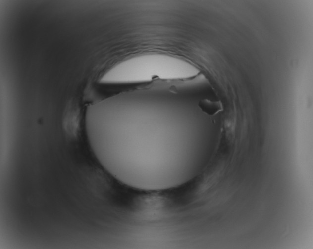 X0000089360219200706291048