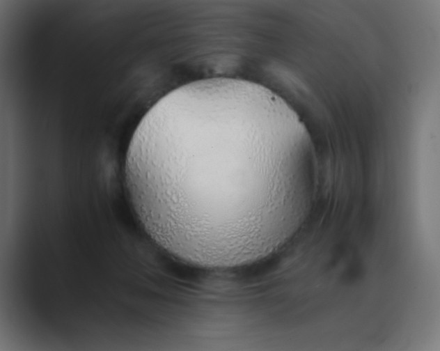 X0000089360222200706291048