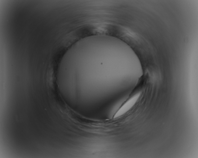 X0000089360223200706291048