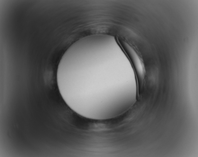 X0000089360224200706291048