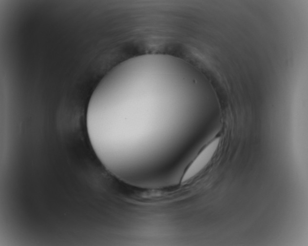 X0000089360225200706291048