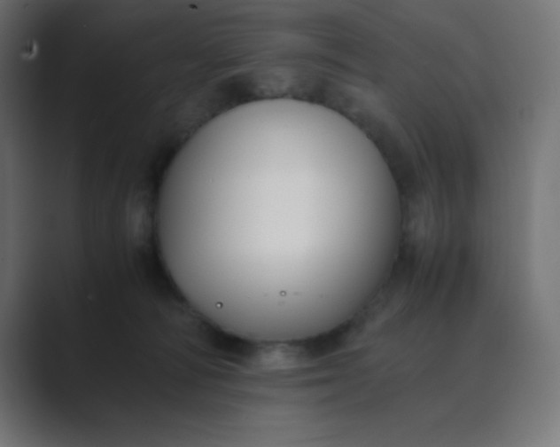 X0000089360226200706291048