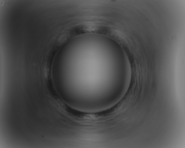 X0000089360227200706291048