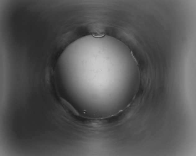 X0000089360229200706291048