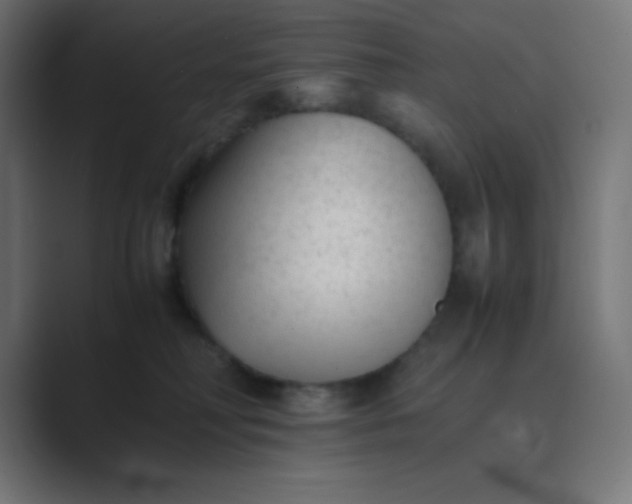 X0000089360230200706291048