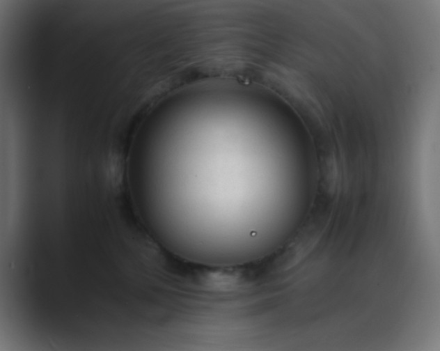 X0000089360232200706291048