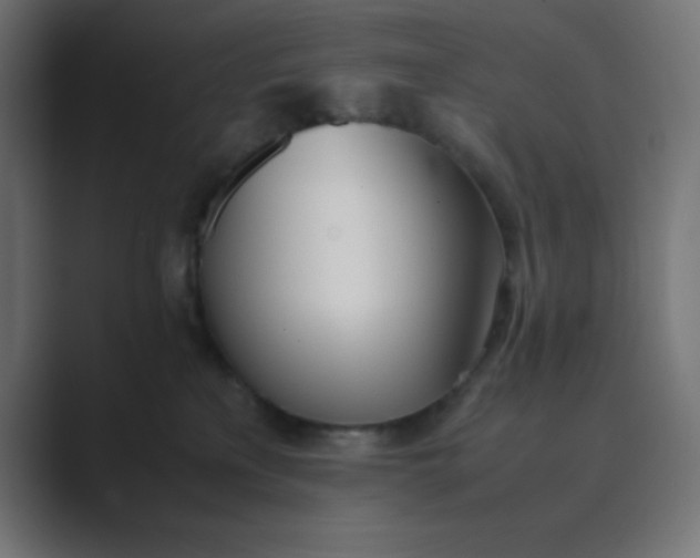 X0000089360233200706291048