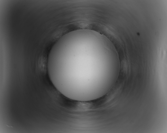 X0000089360234200706291048