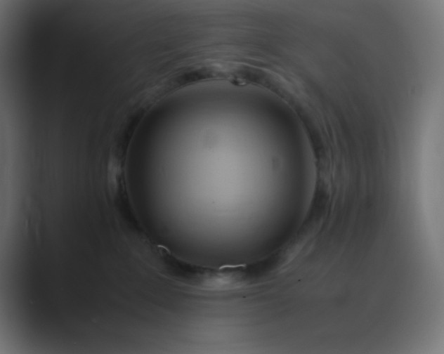 X0000089360235200706291048