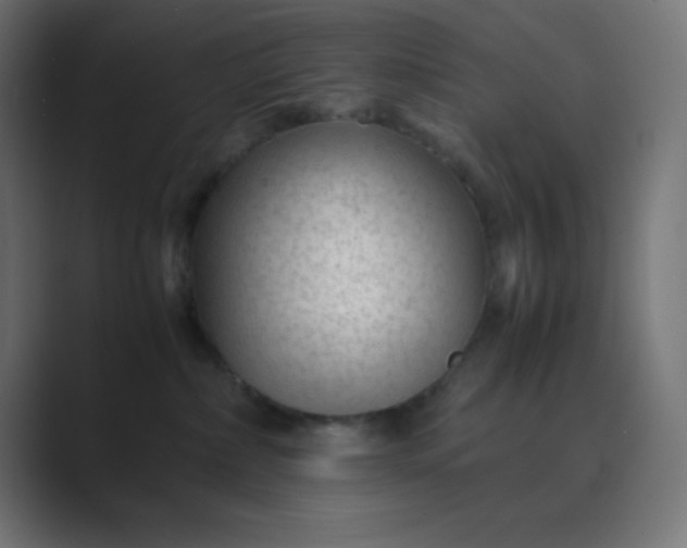 X0000089360236200706291048