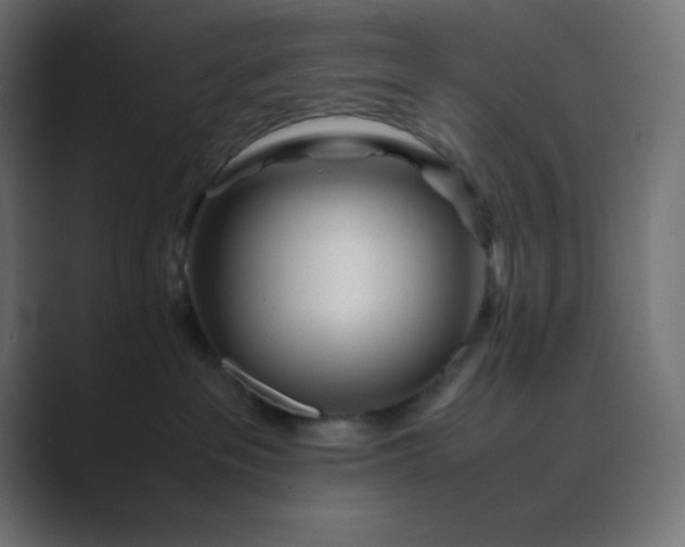 X0000089360237200706291047