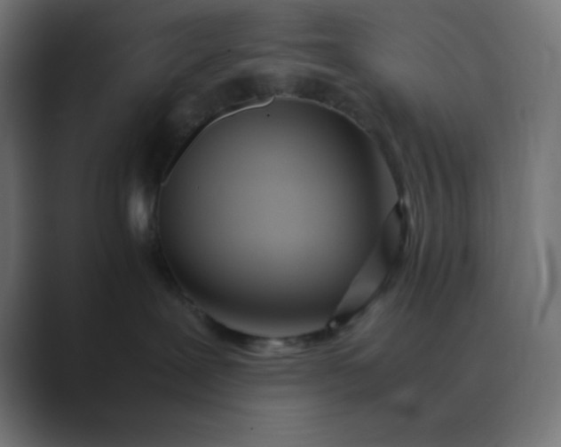 X0000089360239200706291047