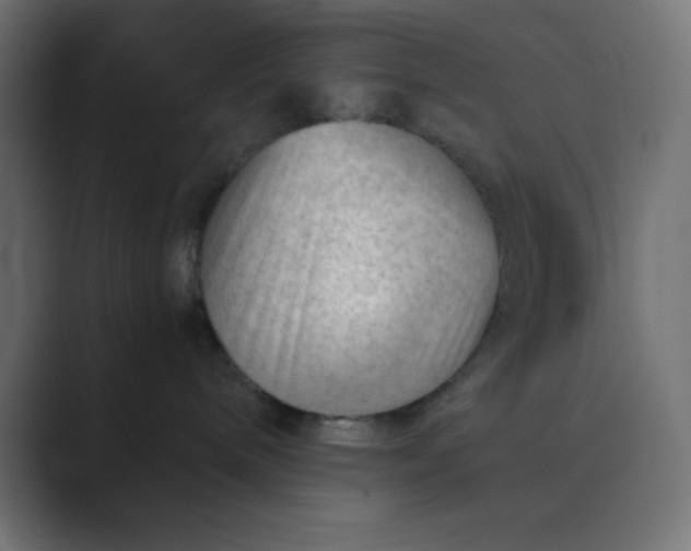 X0000089360240200706291047